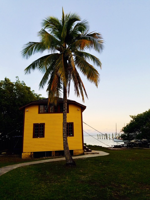 Coconut Grove Homes